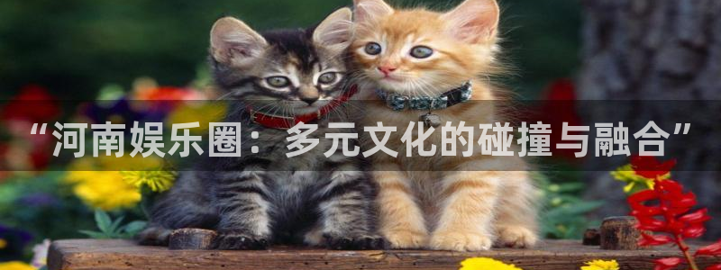狗子28.ccmpc29：“河南娱乐圈：多元文化的碰撞与融合”
