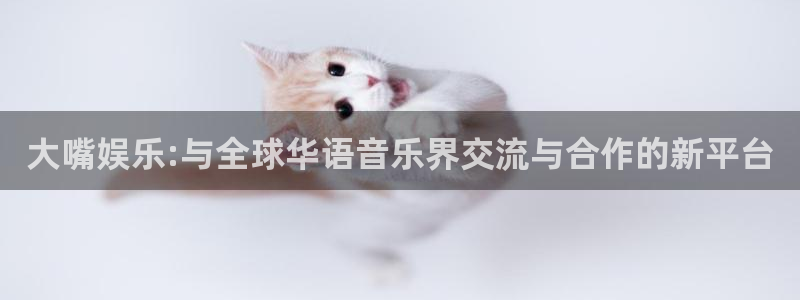 狗子28游戏官网入口注册：大嘴娱乐:与全球华语音乐界交流与合作的新平台