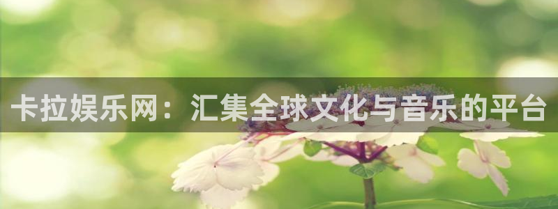 狗子28游戏：卡拉娱乐网：汇集全球文化与音乐的平台