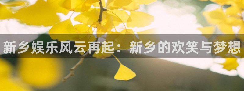 狗子28pg游戏官网版：新乡娱乐风云再起：新乡的欢笑与梦想