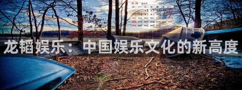 狗子28.ccm官网：龙韬娱乐：中国娱乐文化的新高度
