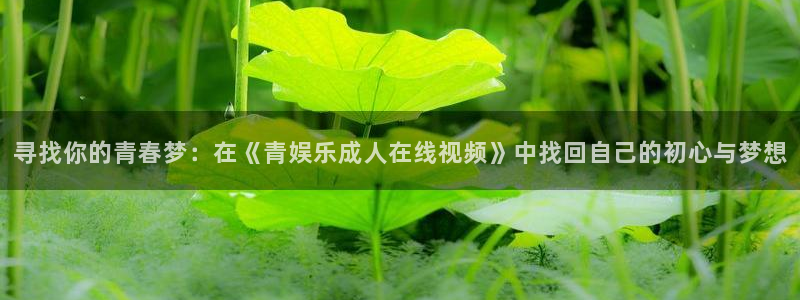 狗子28棋牌软件特色：寻找你的青春梦：在《青娱乐成人在线视频》中找回自己的初心与梦想