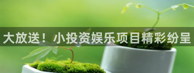 狗子28pg下载入口：大放送！小投资娱乐项目精彩纷呈
