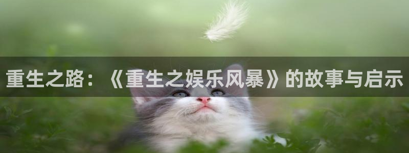 狗子28.ccmpc：重生之路：《重生之娱乐风暴》的故事与启示