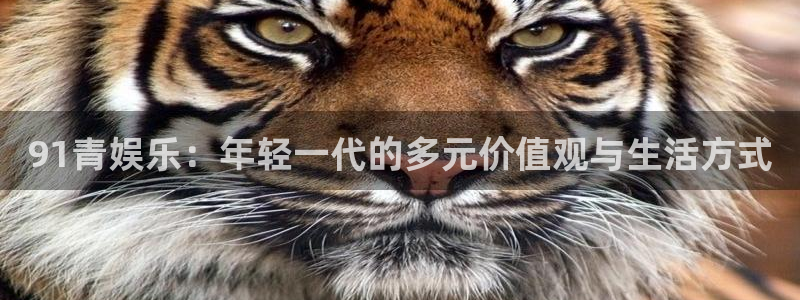 狗子28游戏：91青娱乐：年轻一代的多元价值观与生活方式