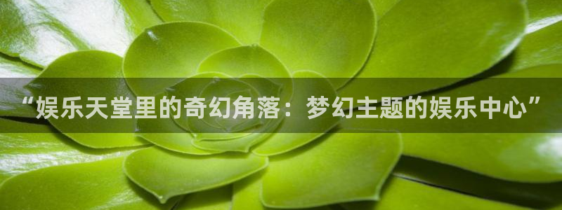 upload/20250701114914.jpg