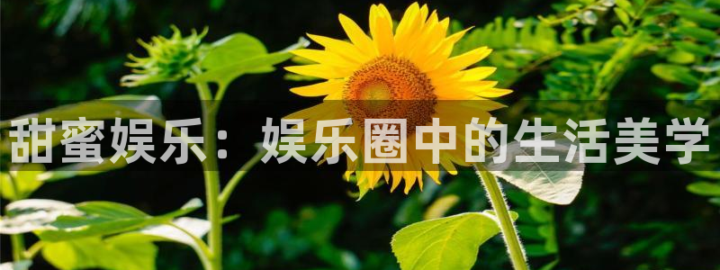 狗子28平台：甜蜜娱乐：娱乐圈中的生活美学