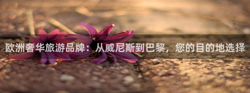 狗子28官网：欧洲奢华旅游品牌：从威尼斯到巴黎，您的目的地选择