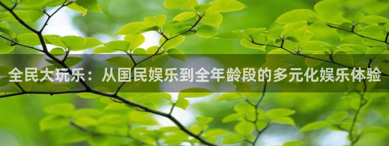 狗子28pg电子游戏：全民大玩乐：从国民娱乐到全年龄段的多元化娱乐体验